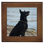 Black German Shepherd Framed Ceramic Tile