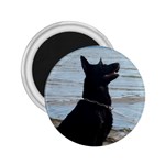 Black German Shepherd 2.25  Button Magnet