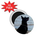 Black German Shepherd 1.75  Button Magnet (10 pack)