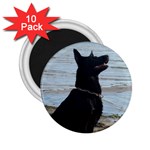 Black German Shepherd 2.25  Button Magnet (10 pack)