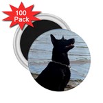 Black German Shepherd 2.25  Button Magnet (100 pack)