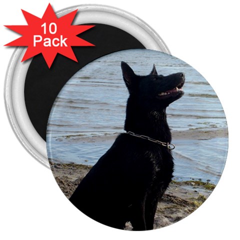 Black German Shepherd 3  Button Magnet (10 pack) from ArtsNow.com Front