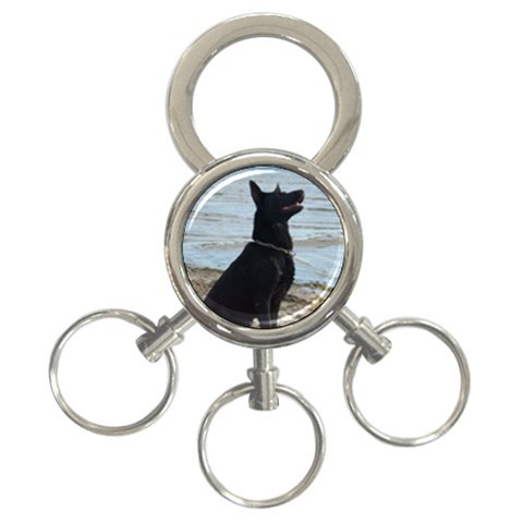 Black German Shepherd 3 Front