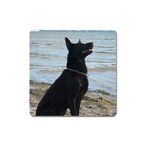 Black German Shepherd Magnet (Square) from ArtsNow.com Front