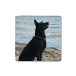 Black German Shepherd Magnet (Square)