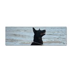 Black German Shepherd Bumper Sticker 10 Pack