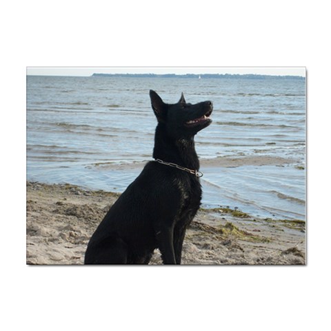 Black German Shepherd A4 Sticker 10 Pack from ArtsNow.com Front