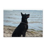 Black German Shepherd A4 Sticker 10 Pack