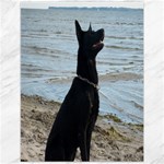 Black German Shepherd Canvas 12  x 16  (Unframed)