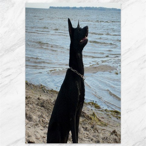 Black German Shepherd Canvas 12  x 18  (Unframed) from ArtsNow.com 11.88 x17.36  Canvas - 1