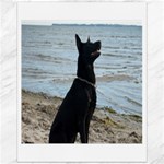 Black German Shepherd Canvas 16  x 20  (Unframed)