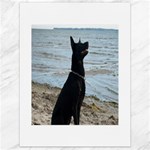 Black German Shepherd Canvas 18  x 24  (Unframed)