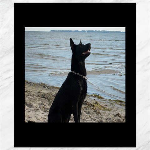 Black German Shepherd Canvas 20  x 24  (Unframed) from ArtsNow.com 19.57 x23.15  Canvas - 1