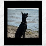 Black German Shepherd Canvas 20  x 24  (Unframed)