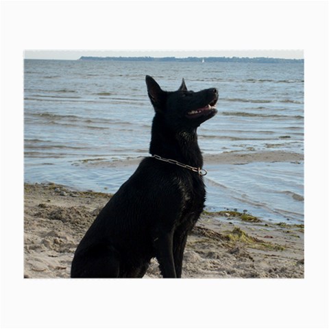 Black German Shepherd Glasses Cloth (Small, Two Sided) from ArtsNow.com Front