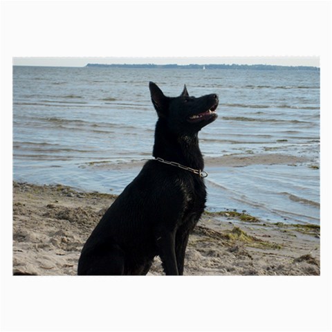 Black German Shepherd Glasses Cloth (Large, Two Sided) from ArtsNow.com Front