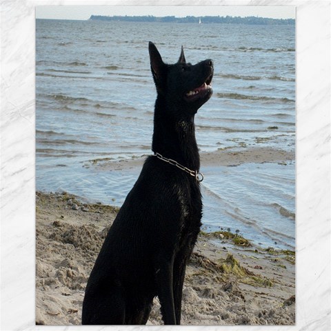 Black German Shepherd Canvas 11  x 14  (Unframed) from ArtsNow.com 10.95 x13.48  Canvas - 1