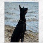 Black German Shepherd Canvas 11  x 14  (Unframed)