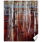 Swamp2 Filtered Canvas 8  x 10  (Unframed)