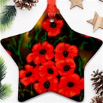 Poppies  2 Ave Hurley Ah 001 164 Png Ornament (Star)