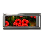 Poppies  2 Ave Hurley Ah 001 164 Png Superlink Italian Charm (9mm)