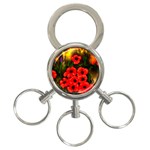 Poppies  2 Ave Hurley Ah 001 164 Png 3-Ring Key Chain