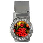 Poppies  2 Ave Hurley Ah 001 164 Png Money Clip (CZ)