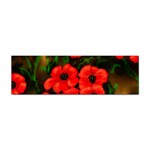 Poppies  2 Ave Hurley Ah 001 164 Png Sticker Bumper (100 pack)