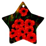 Poppies  2 Ave Hurley Ah 001 164 Png Star Ornament (Two Sides)