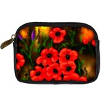 Poppies  2 Ave Hurley Ah 001 164 Png Digital Camera Leather Case