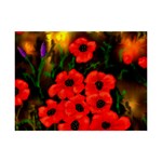 Poppies  2 Ave Hurley Ah 001 164 Png 6  x 8  Desktop Photo Plaque 