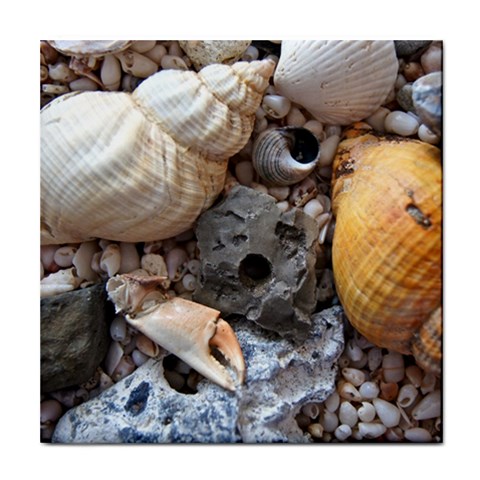 Beach Treasures Ceramic Tile from ArtsNow.com Front