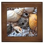 Beach Treasures Framed Ceramic Tile