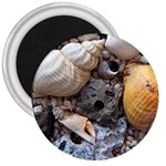 Beach Treasures 3  Button Magnet