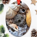 Beach Treasures Oval Ornament