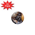 Beach Treasures 1  Mini Button (10 pack)