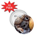 Beach Treasures 1.75  Button (10 pack)