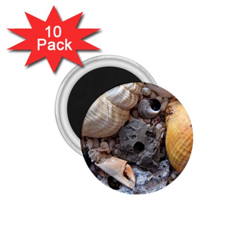Beach Treasures 1.75  Button Magnet (10 pack) from ArtsNow.com Front