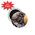 Beach Treasures 1.75  Button Magnet (10 pack)