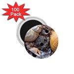 Beach Treasures 1.75  Button Magnet (100 pack)