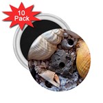 Beach Treasures 2.25  Button Magnet (10 pack)