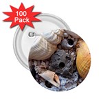 Beach Treasures 2.25  Button (100 pack)