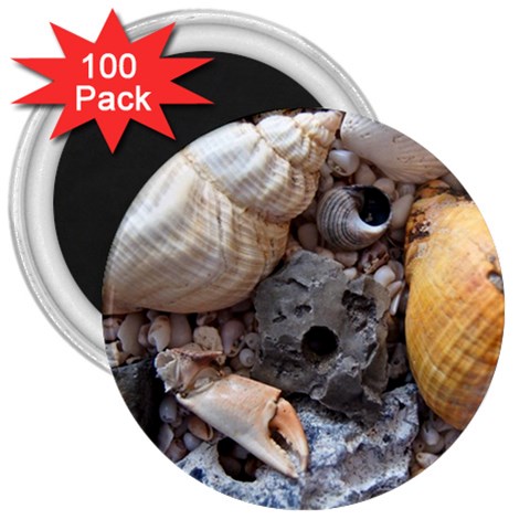 Beach Treasures 3  Button Magnet (100 pack) from ArtsNow.com Front