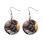 Beach Treasures Mini Button Earrings