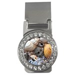 Beach Treasures Money Clip (CZ)