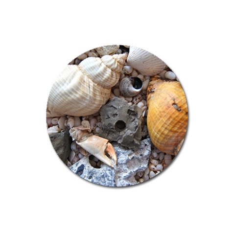 Beach Treasures Magnet 3  (Round) from ArtsNow.com Front