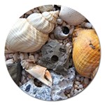 Beach Treasures Magnet 5  (Round)