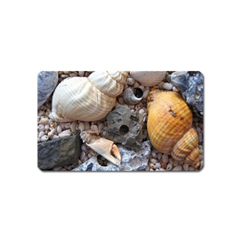 Beach Treasures Magnet (Name Card) from ArtsNow.com Front