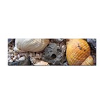 Beach Treasures Bumper Sticker 10 Pack