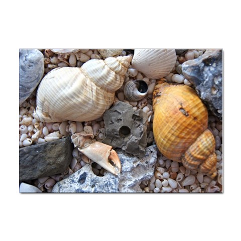 Beach Treasures A4 Sticker 10 Pack from ArtsNow.com Front